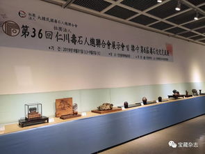 以石為媒，跨越山海 青島民間賞石藝術開啟跨國交流新篇章